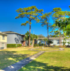 A sunny day in a residential area with houses and trees  at Hibiscus Place Apartments in Orlando, FL, 32808
