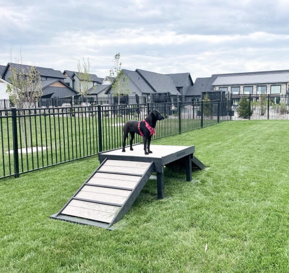 Our Pet-Friendly Community at Slate at Fishers District, Indiana