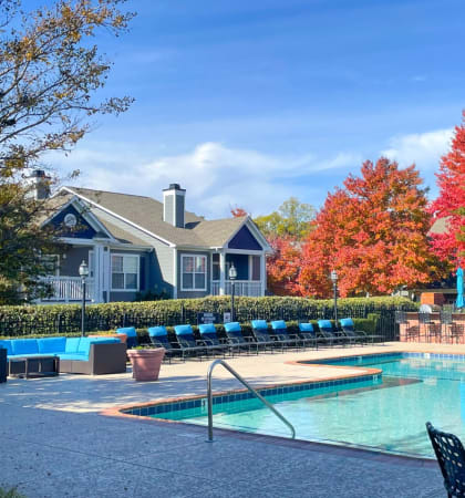 pool and fall leaves on trees