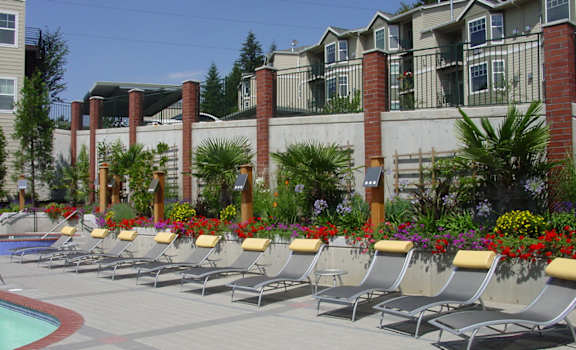 Poolside lounge chairs at Wilsonville Summit Apartments, Oregon , 97070