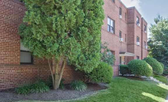 A tree in front of a red brick building.