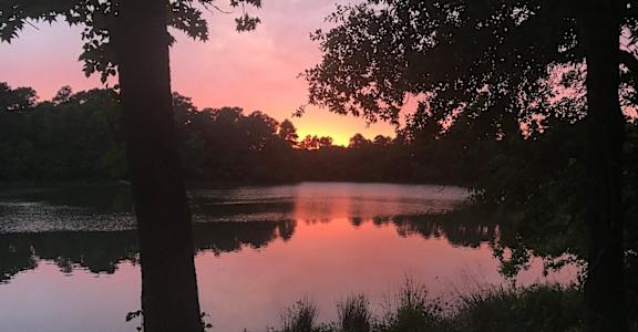 A serene lake surrounded by trees at sunset.