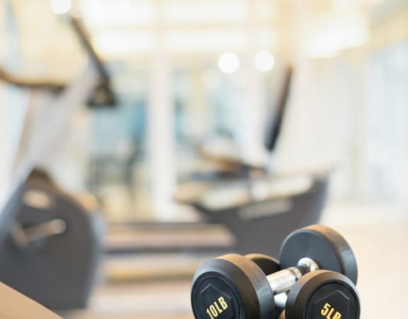 Free Weights at The Lincoln Apartments, North Carolina, 27601
