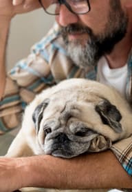 a man holding a pug dog on his lap at Platinum Castle Hills, Lewisville, Texas