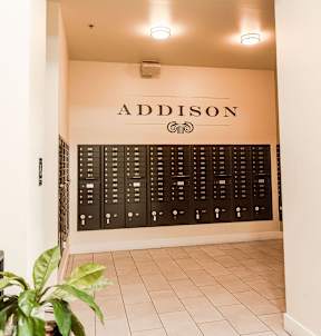 A plant sits in front of a wall with a sign that says Addison.
