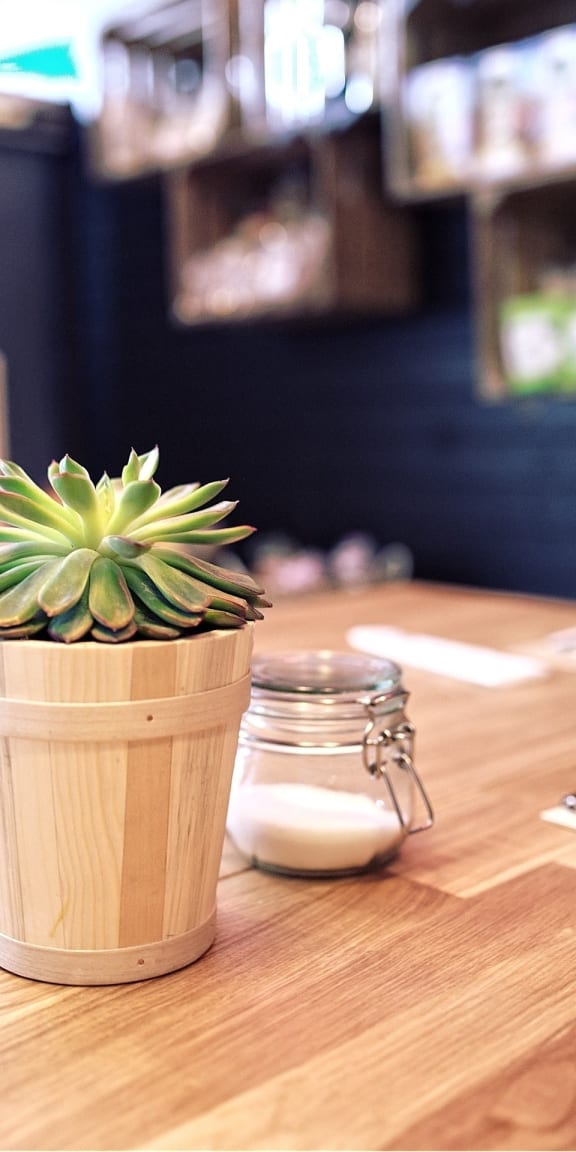 a potted plant on a table with a jar of milk