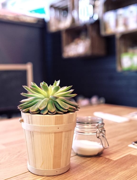 a potted plant on a table with a jar of milk