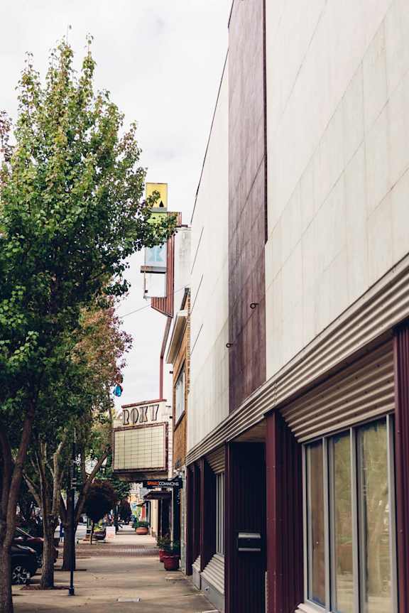 A tree is next to a building with a sign that says "DOOR".
