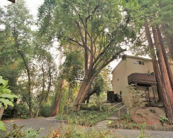 a house in the middle of a forest with trees
