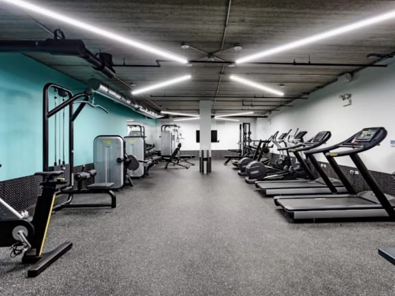 a gym with cardio equipment and weights on the floor