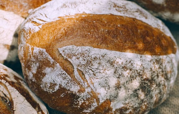 A close up of several loaves of artisan bread with a dusting of flour on top.