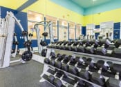 Thumbnail 20 of 33 - Free Weights at The Preserve at Tampa Palms, Florida, 33647