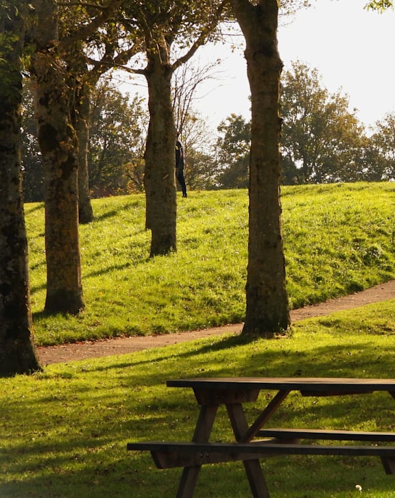 park