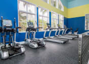 Thumbnail 19 of 33 - Fitness Center at The Preserve at Tampa Palms, Tampa, FL