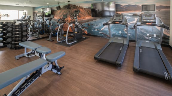 Fully Equipped Fitness Center at Salado Springs, Arizona, 85281