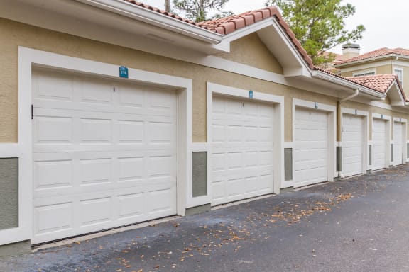 Garages at The Preserve at Tampa Palms, Tampa, Florida