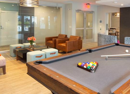 Community room billiards and TV