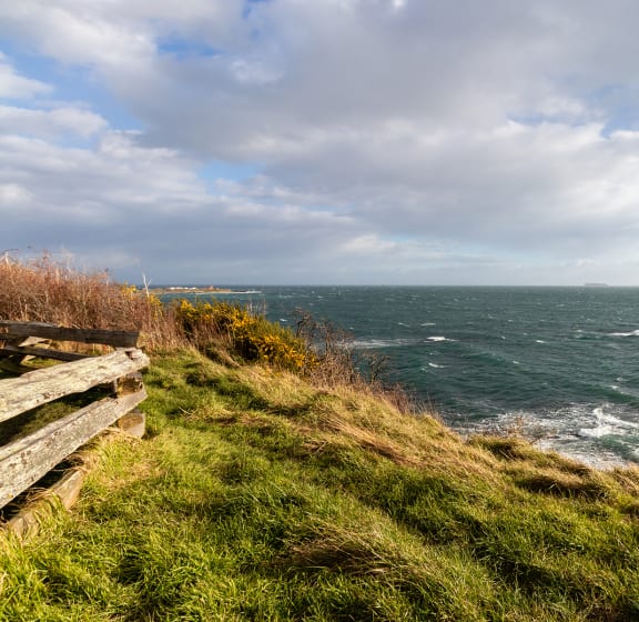 a bench on the cliff top overlooking the irish sea