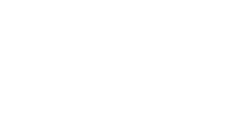 Indigo Logo White