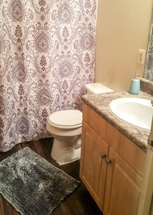 Bathroom at Granite Heights Apartment Homes, Tennessee, 37406