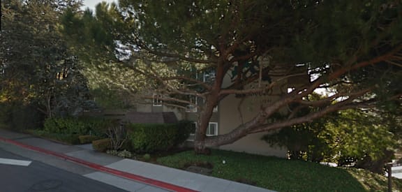 A tree is in front of a house.