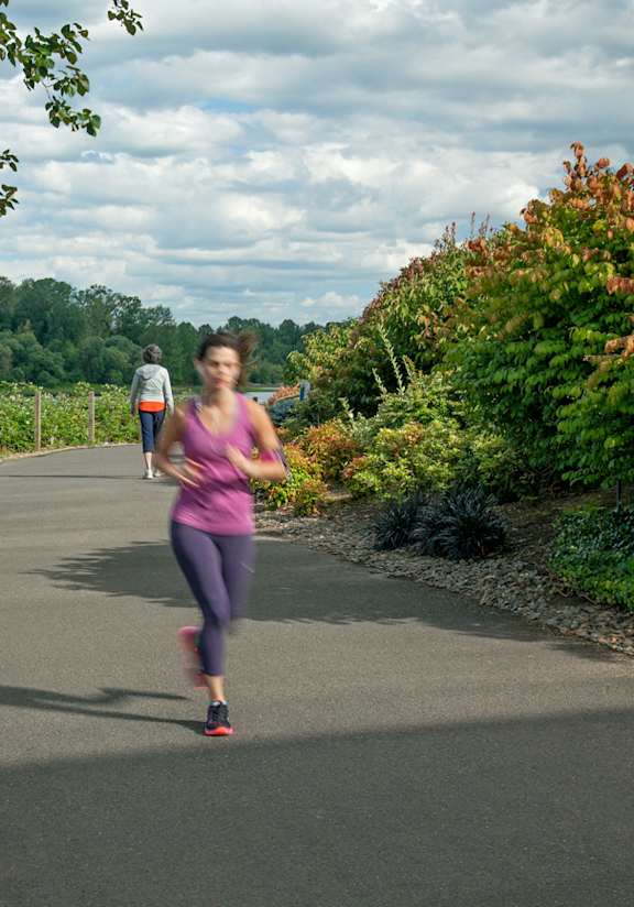 A woman jogging on a path next to a lake.