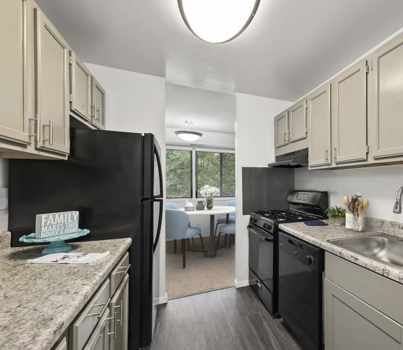 kitchen at Seven Springs Apartments, College Park, Maryland