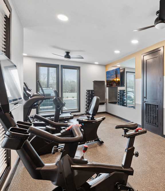 A gym with treadmills and exercise equipment.