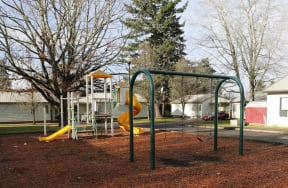 a playground with a slide and monkey bars in a park