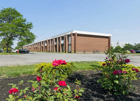Amherst Apartment for Rent