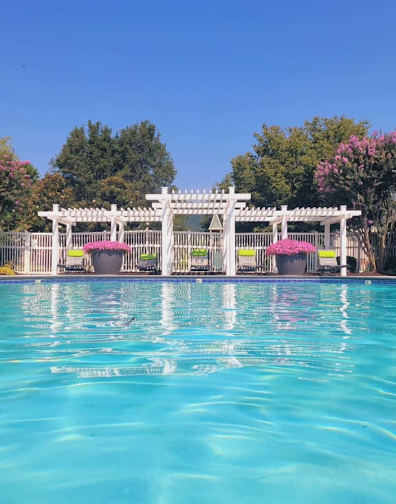 A pool area with sun loungers and a planter with yellow flowers.