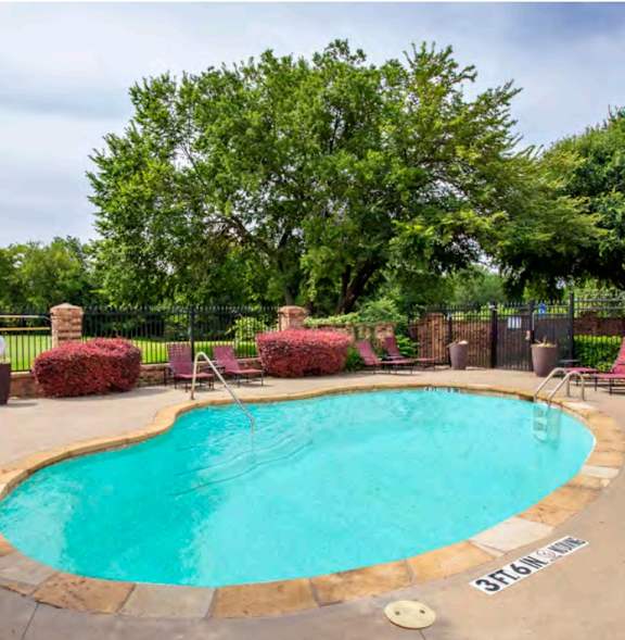A small pool surrounded by trees and chairs.