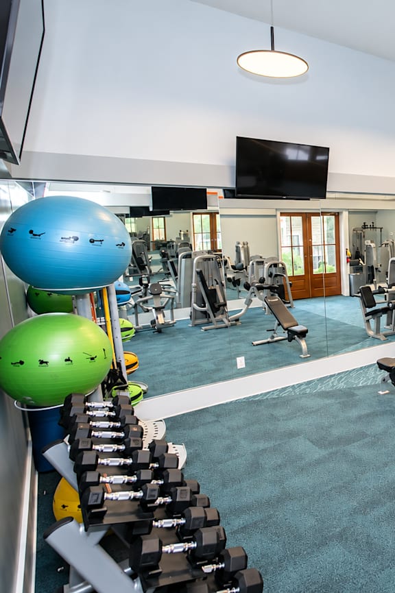 A gym with a variety of equipment including dumbbells, weight machines, and a television.