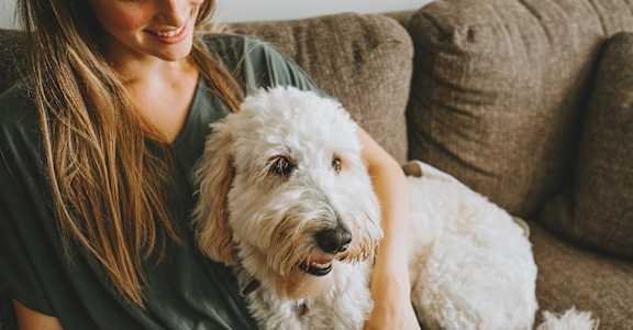 A woman is sitting on a couch with a white dog.