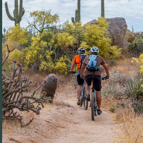 Two cyclists riding on a dirt trail surrounded by desert vegetation.