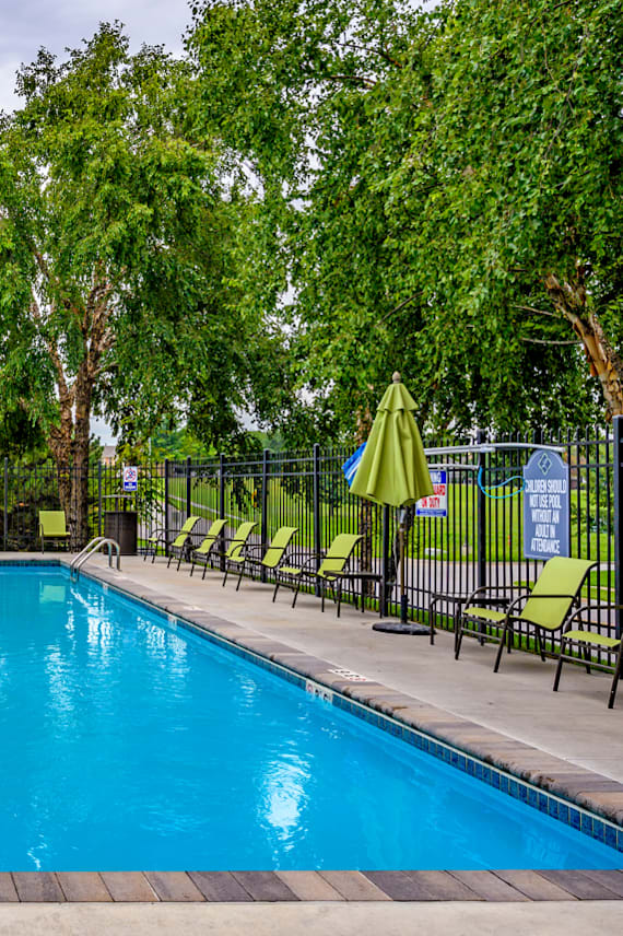 A large blue swimming pool surrounded by trees and lounge chairs.