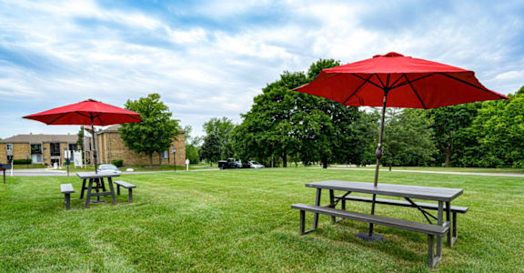 two picnic tables with umbrellas in a grassy area