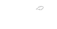 The Oaks of St. Clair