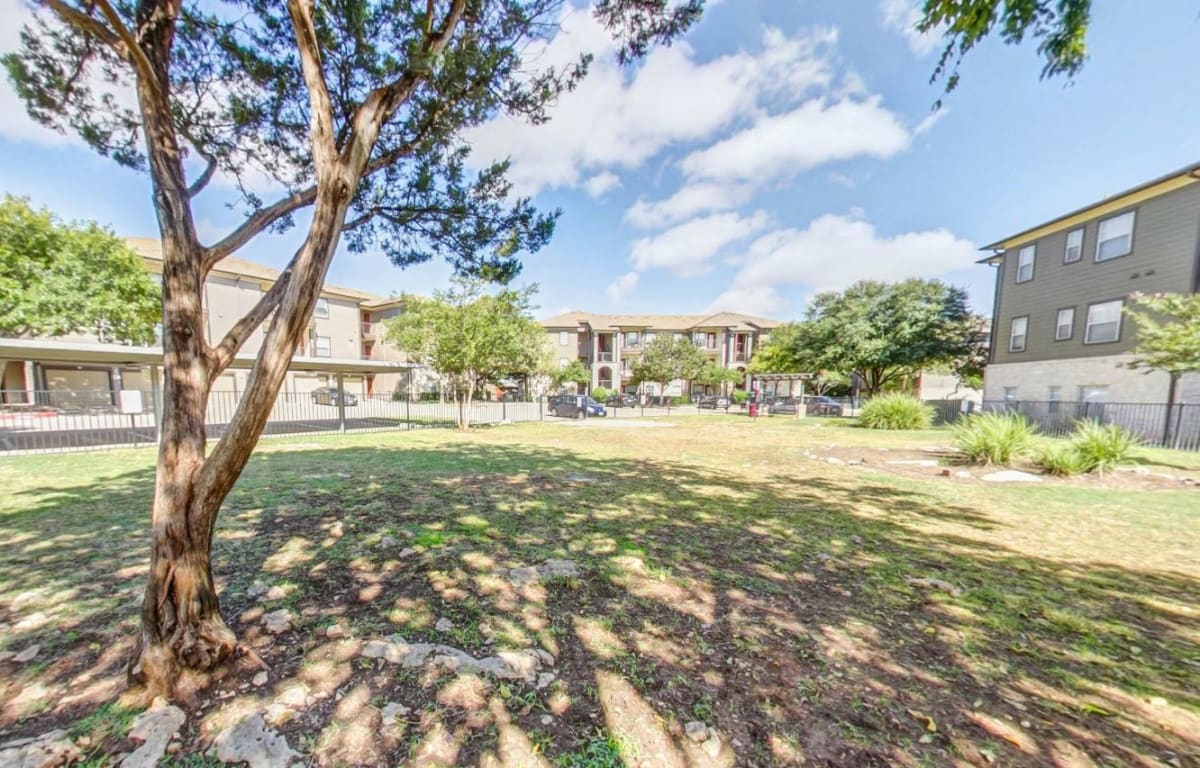 Abelia Flats fenced dog park with shaded green space - Austin, TX