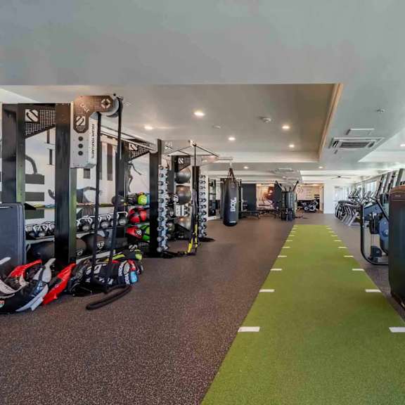 A gym with a green carpet and various exercise equipment.