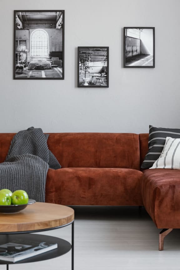 brown couch in a grey living room with pictures on the wall stock photo #
