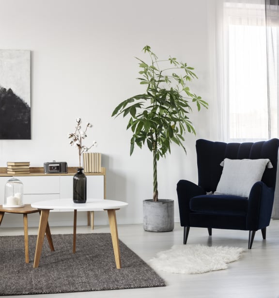a living room with a black couch and a white coffee table