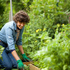 Woman Happily Harvesting Carrots from Outside Garden at Cottonwood Crossing, Casa Grande, AZ 85122
