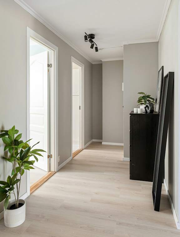 A room with a plant, a television and a camera on the ceiling.