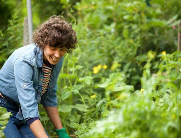 Woman Happily Harvesting Carrots from Outside Garden at Country Woods, Utah, 84401