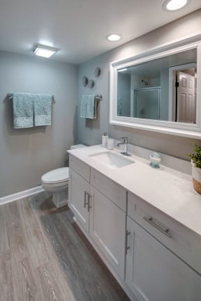 Modern Bathroom Fittings, at Valley Lo Towers, Illinois, 48104