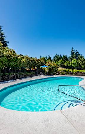A swimming pool surrounded by a fence and trees.