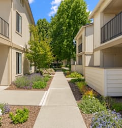 Exterior Landscape at Camino Creek, California, 94928