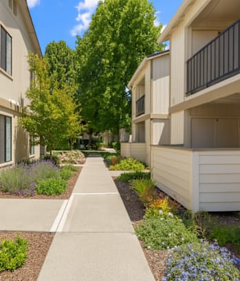 A row of beige townhouses with a sidewalk and landscaping in the foreground.