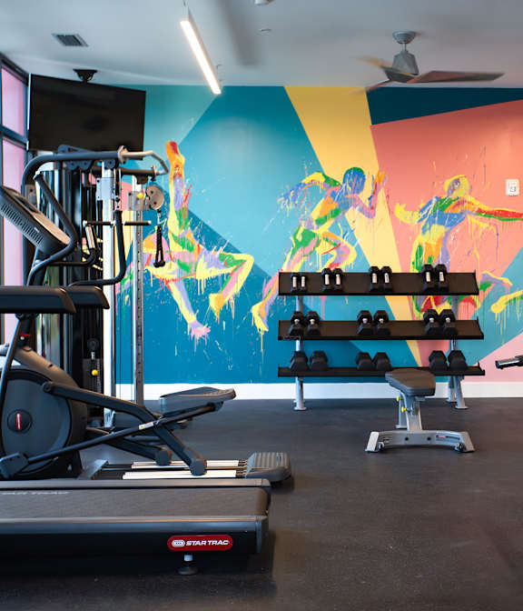 A gym with a treadmill, weights, and a wall mural.